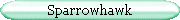 Sparrowhawk