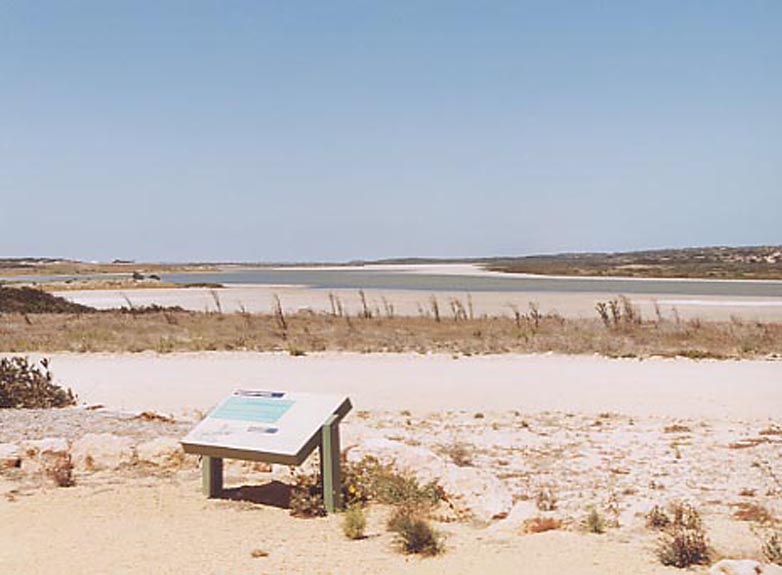 Coorong