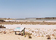 Coorong