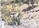 horsetram