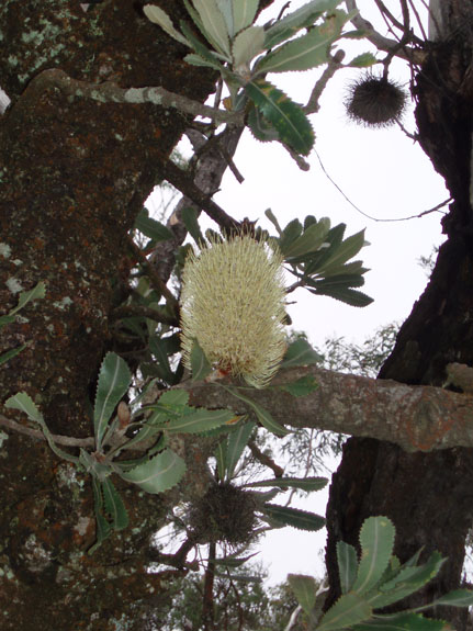 P2150002