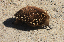 IMG_2065_edited-1