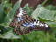 P3210176