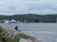 IMG_0427_edited-1