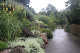 Blue Mountains 24
