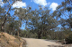 Canberra-007