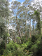 Tathra-028