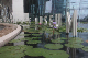 Singapore-043
