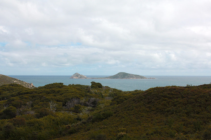 Wilson's Prom-65