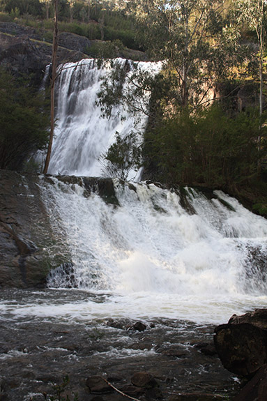 Yarra Valley-120