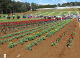 Yarra Valley-031