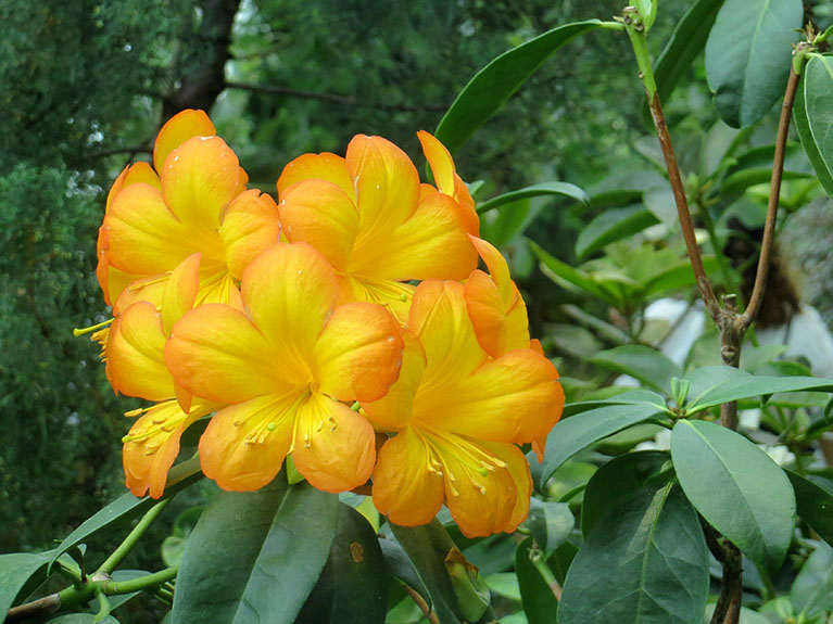 Singapore-033