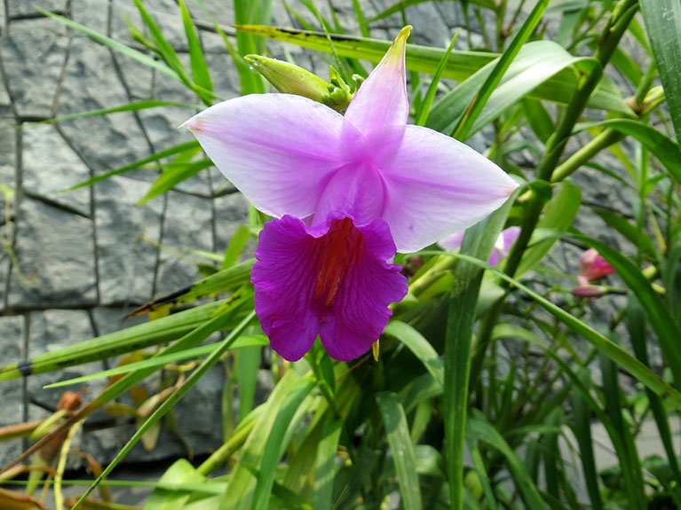 Singapore-041