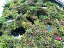 Singapore-039