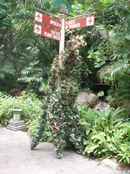 P5240088