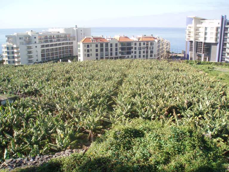 P3110038