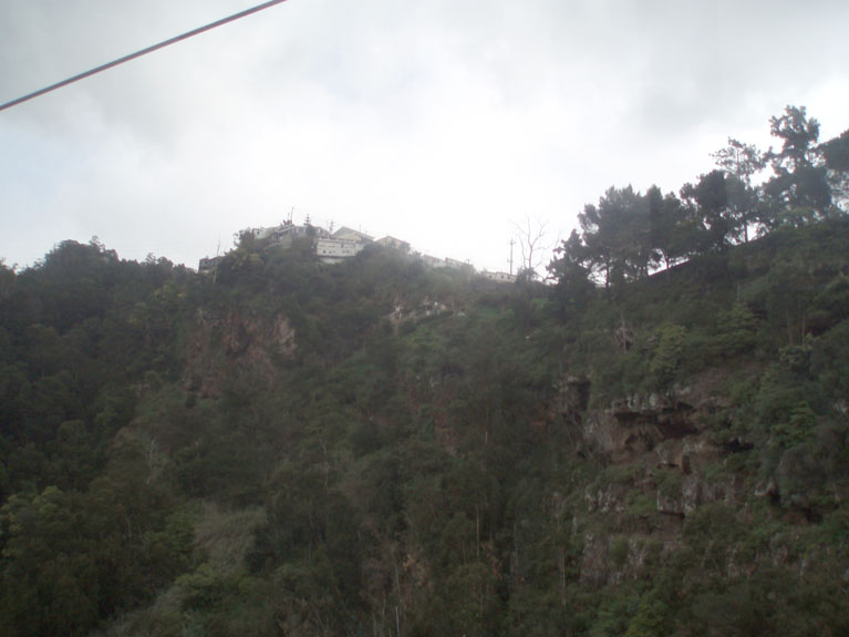 P3120115_edited-1