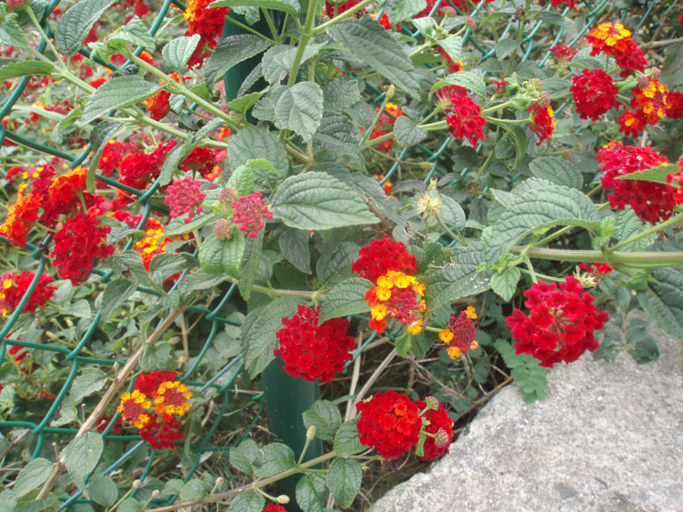 P3110047