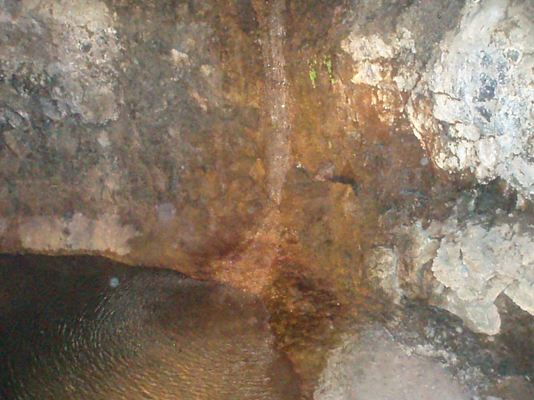 P3110048