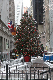 New York-47