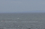 Vancouver Island 244_edited-1