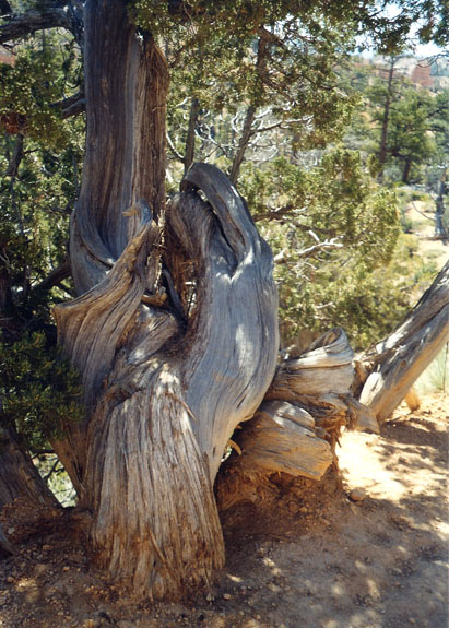 Anne scanned0024