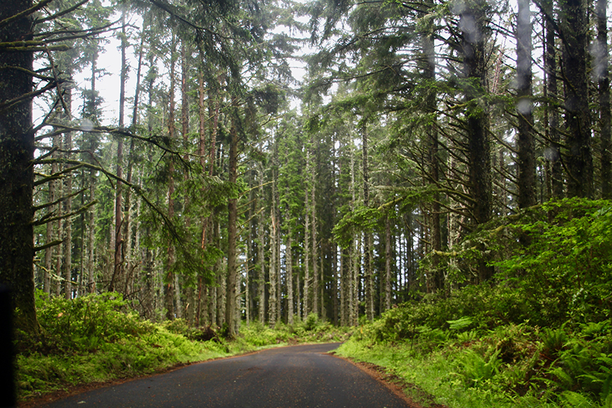 Oregon Coast-052