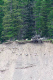 Glacier NP 040