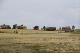 Col Springs to Gunnison-02