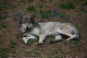 Col Springs to Gunnison-06