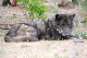 Col Springs to Gunnison-10