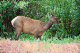 Estes Park 01